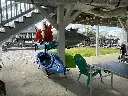 backyardgrillin22.webp